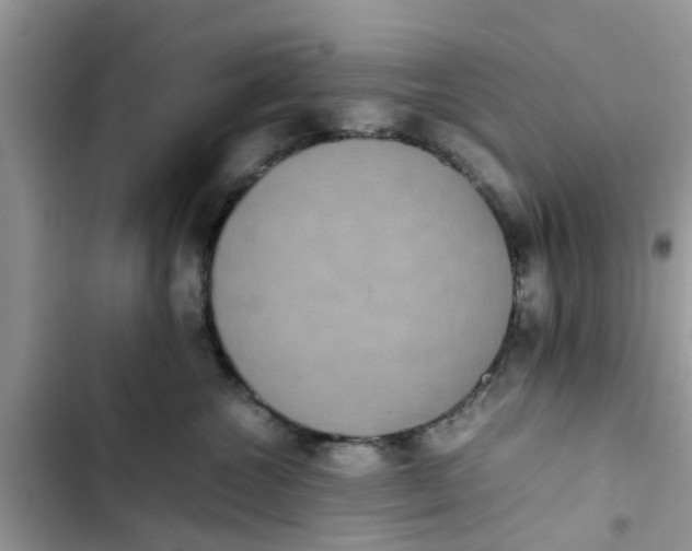 X0000103270572200809191745