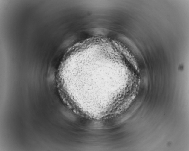 X0000103270573200809191745