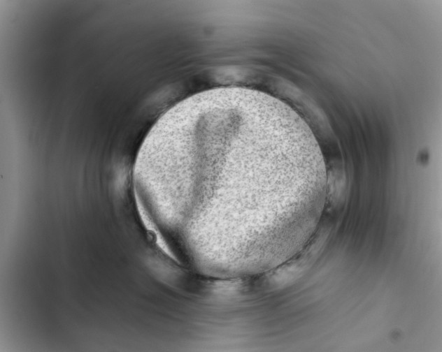 X0000103270574200809191745