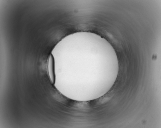 X0000103270576200809191745