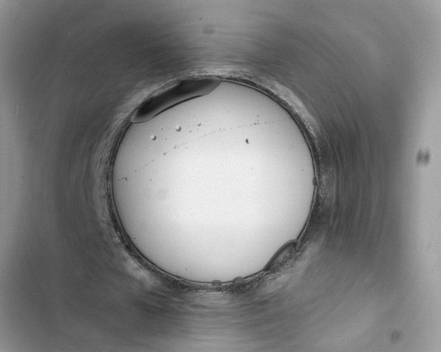 X0000103270577200809191744