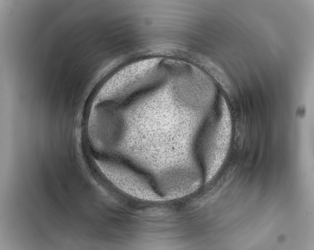 X0000103270578200809191744
