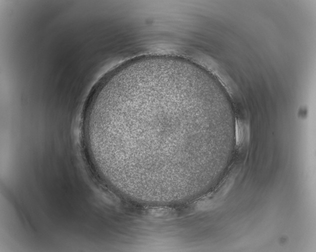 X0000103270579200809191744