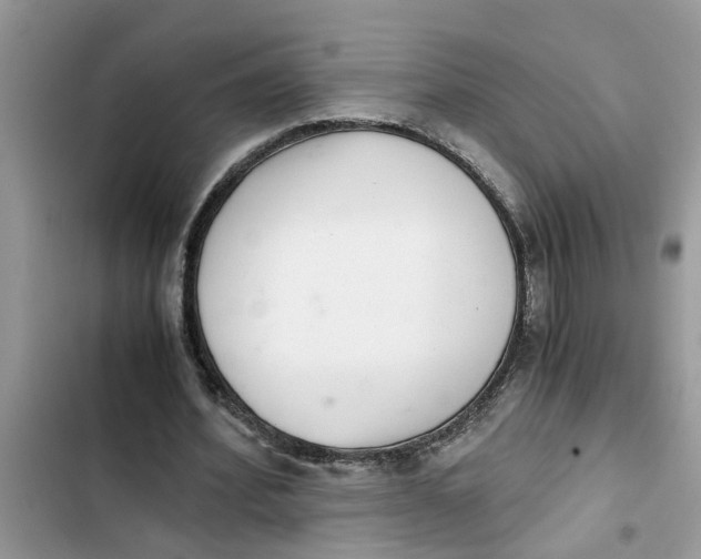 X0000103270580200809191744