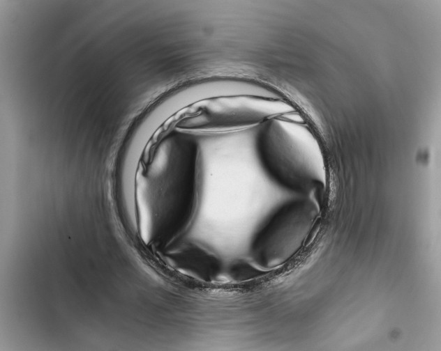 X0000103270581200809191744