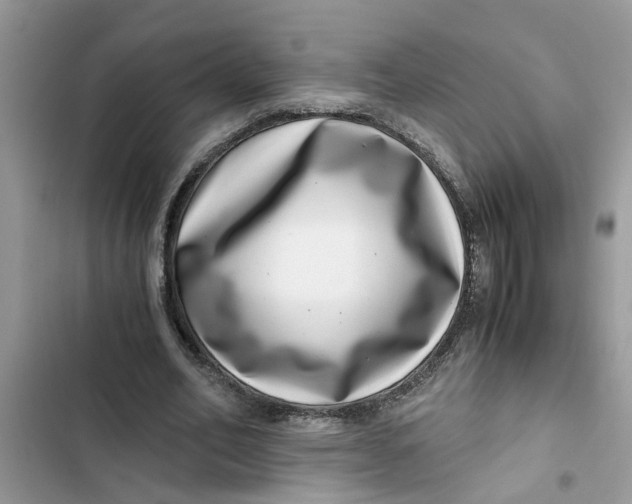 X0000103270582200809191744