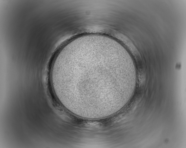X0000103270583200809191744