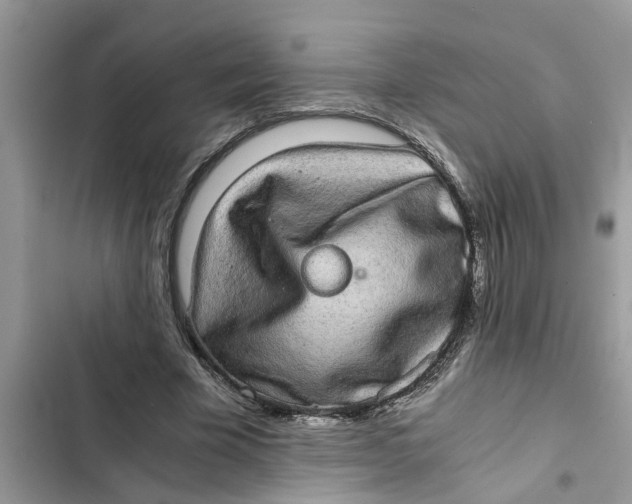 X0000103270585200809191744