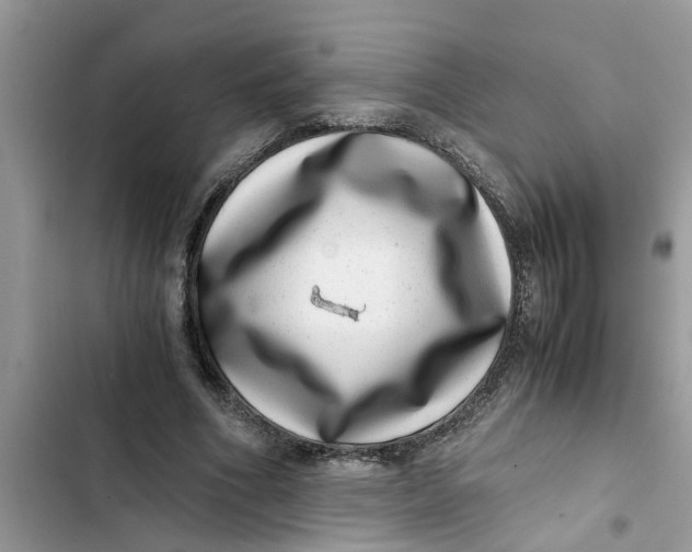 X0000103270586200809191744