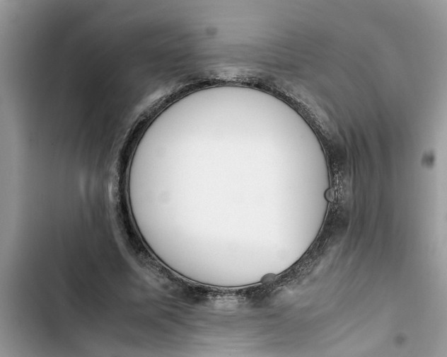 X0000103270587200809191744