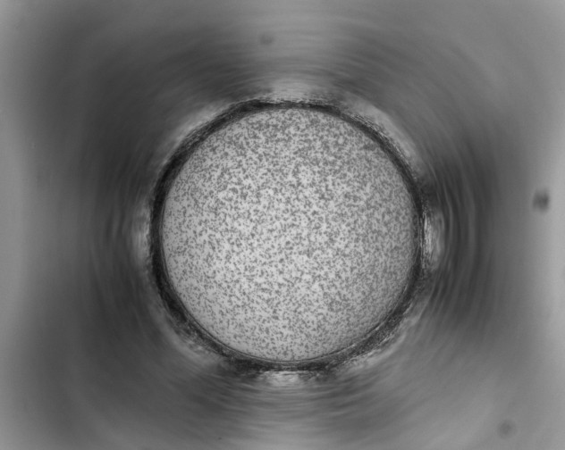 X0000103270588200809191744