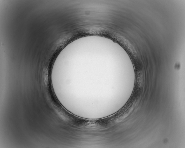X0000103270589200809191744