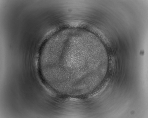 X0000103270590200809191744