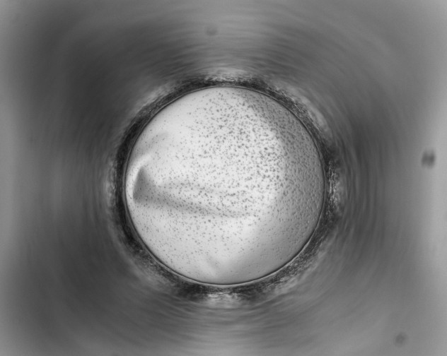 X0000103270591200809191744
