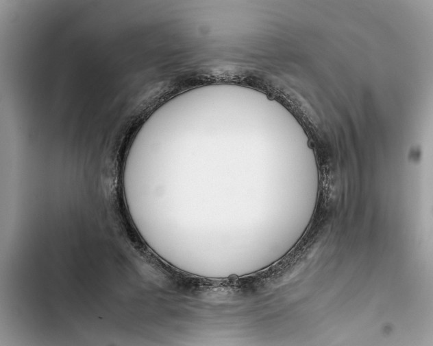 X0000103270593200809191744