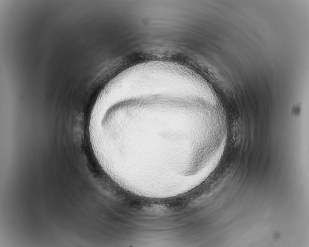 X0000103270594200809191744