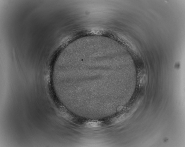 X0000103270595200809191744