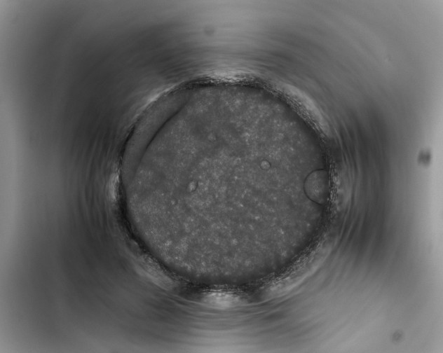 X0000103270596200809191744