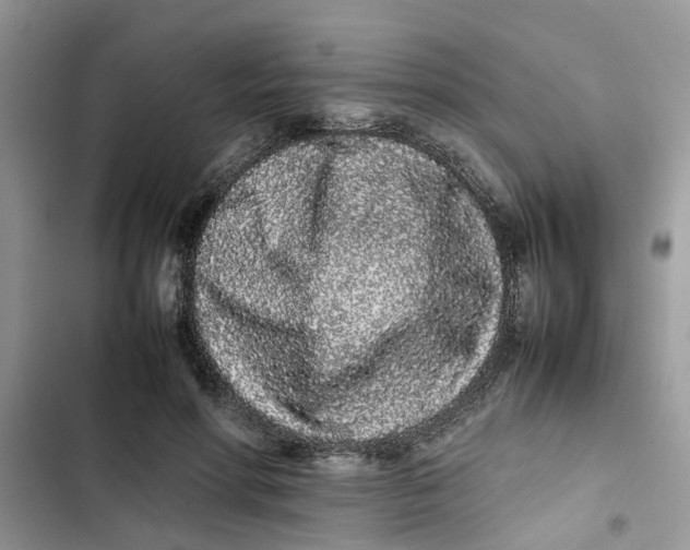 X0000103270598200809191744