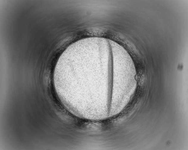 X0000103270599200809191744