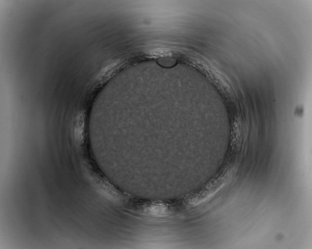 X0000103270600200809191744