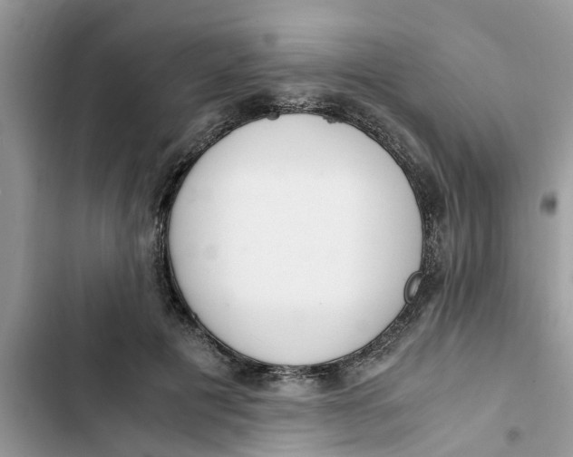 X0000103270601200809191744