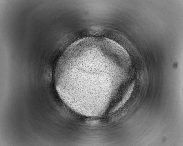 X0000103270602200809191744