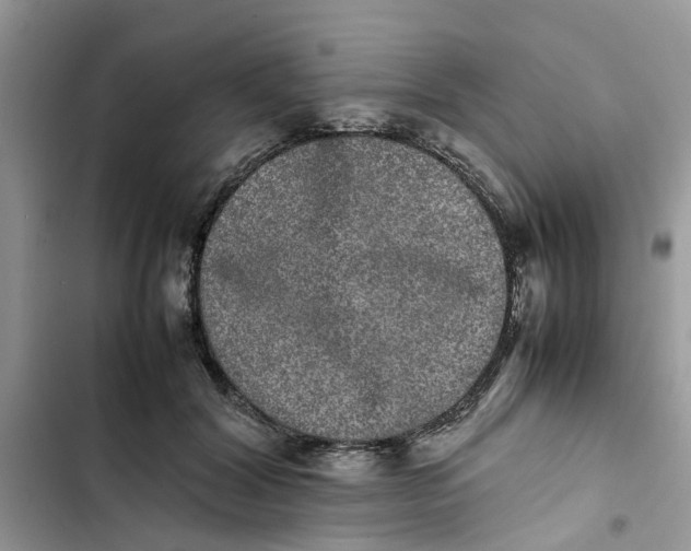 X0000103270604200809191744