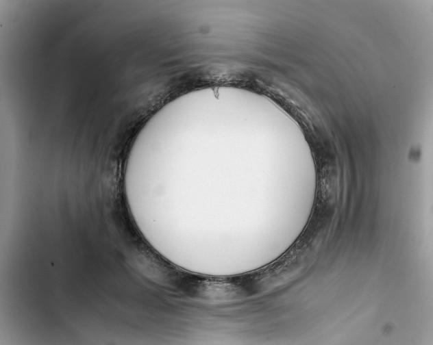 X0000103270605200809191744