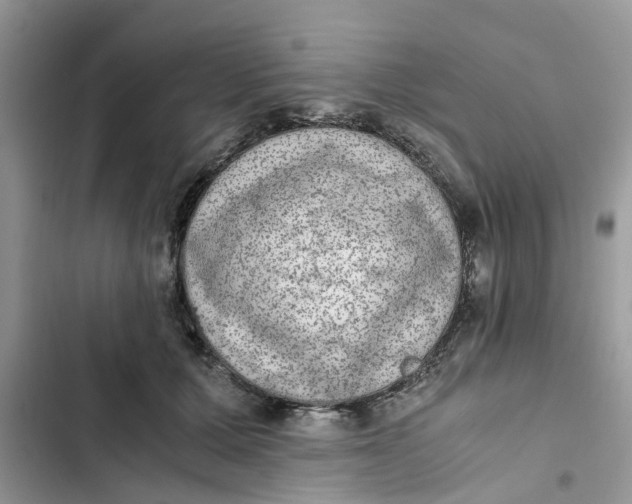 X0000103270607200809191744