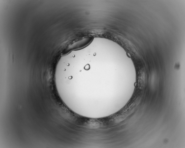 X0000103270608200809191744