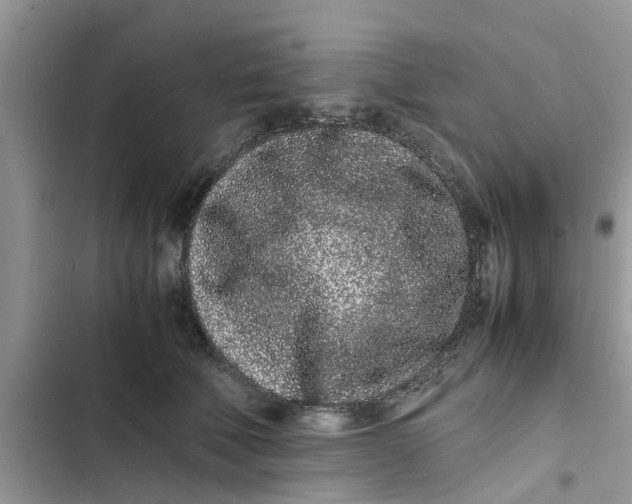 X0000103270610200809191744