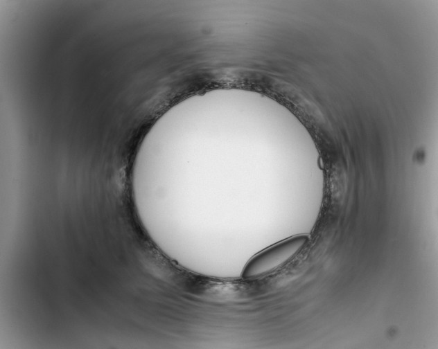 X0000103270611200809191744