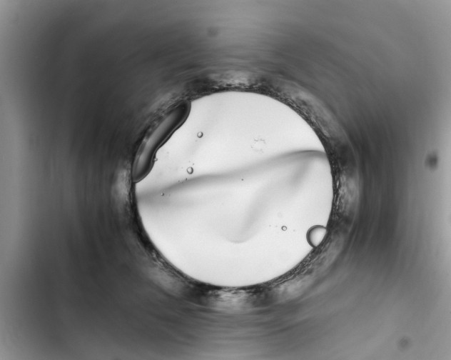 X0000103270612200809191744