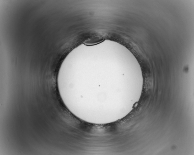 X0000103270613200809191744