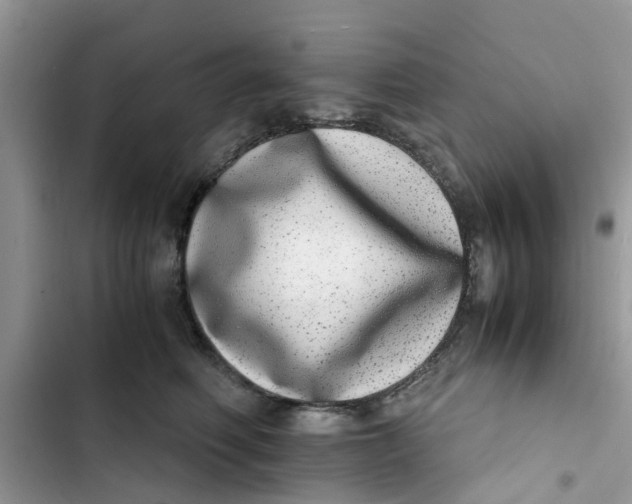X0000103270614200809191744