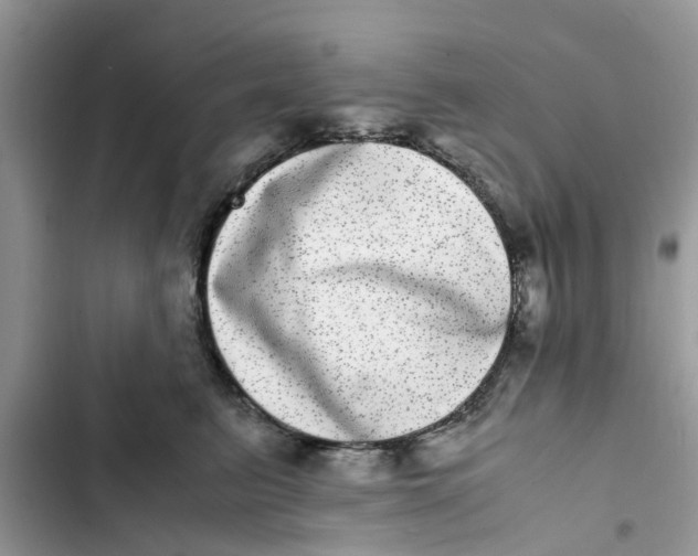 X0000103270615200809191744