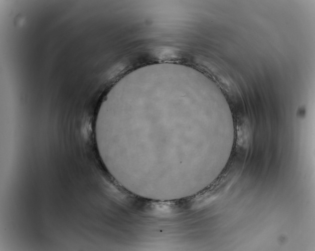 X0000103270618200809191744