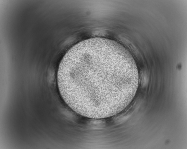 X0000103270619200809191744