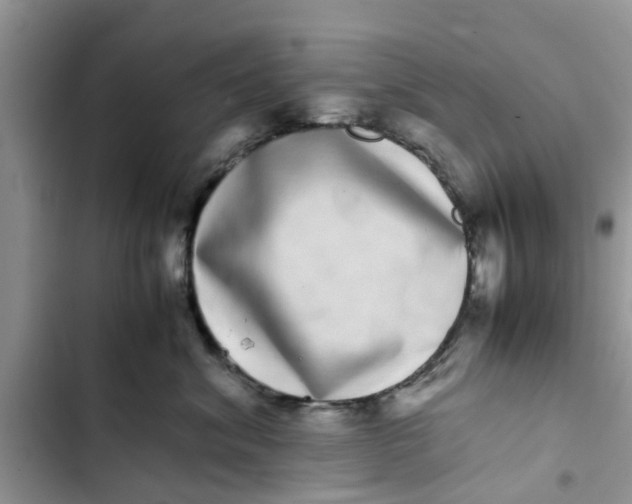 X0000103270620200809191744