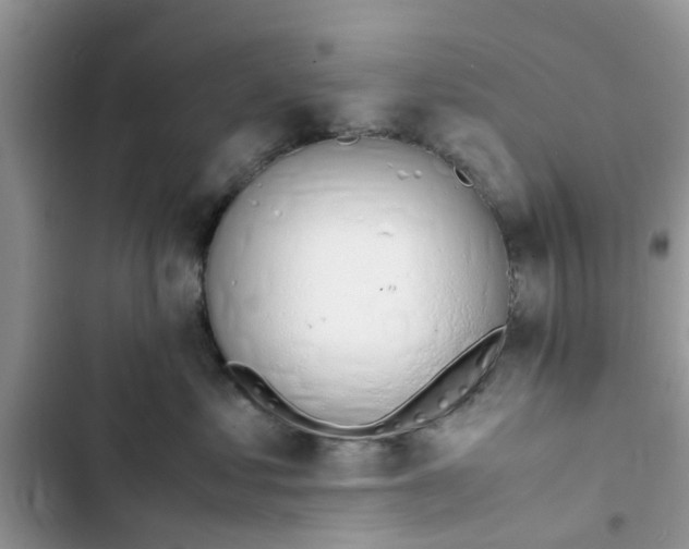 X0000103270621200809191744