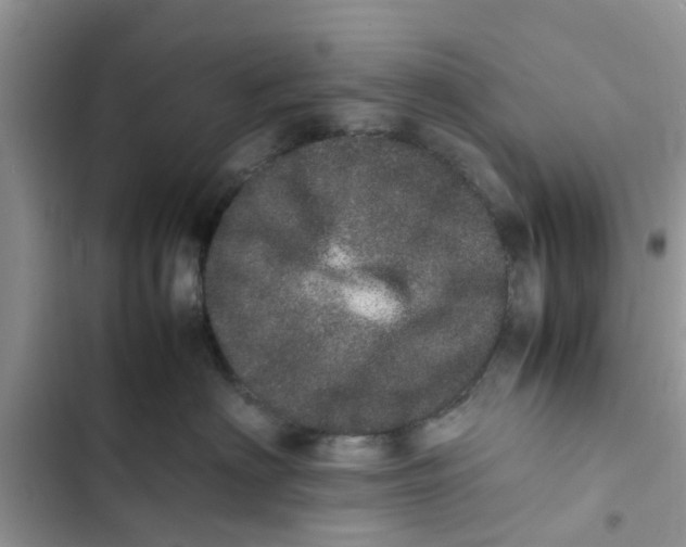 X0000103270622200809191744