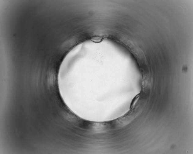 X0000103270623200809191744