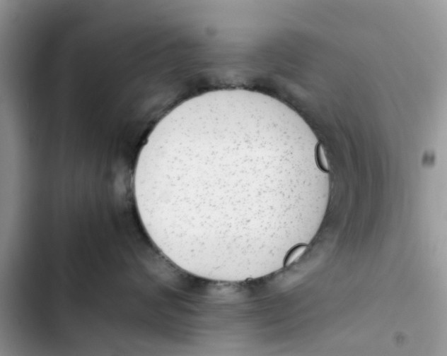 X0000103270624200809191744