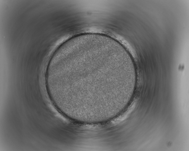 X0000103270625200809191743