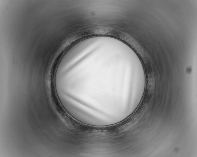 X0000103270626200809191743