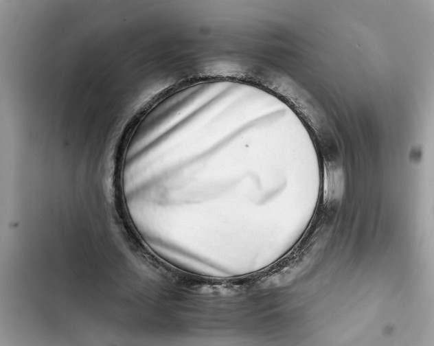 X0000103270627200809191743