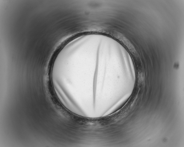 X0000103270628200809191743