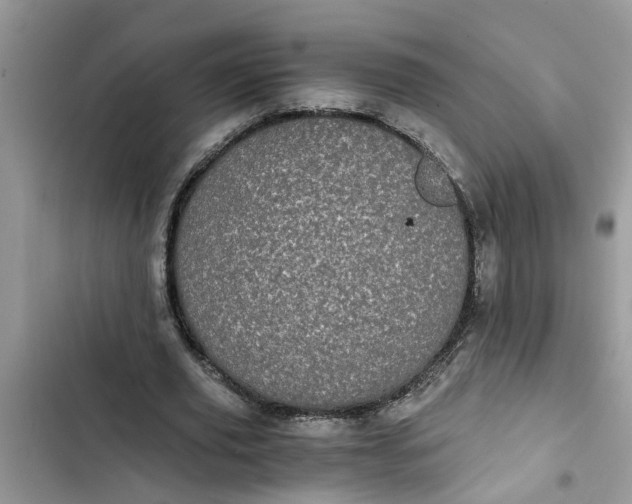 X0000103270629200809191743