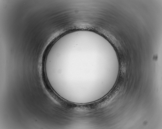 X0000103270630200809191743